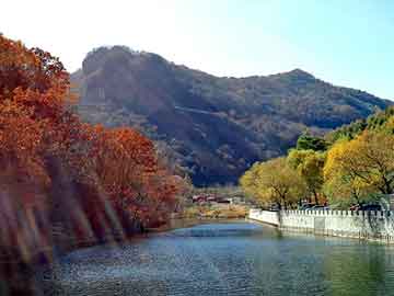 管家婆黑白马报图库，平原seo软件